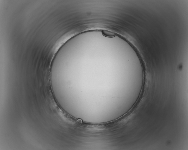 X0000116511145200912231228