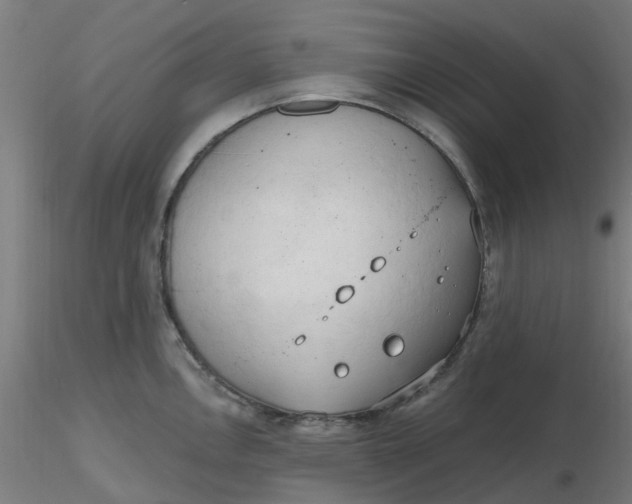 X0000116511146200912231228