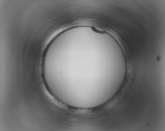 X0000116511147200912231228