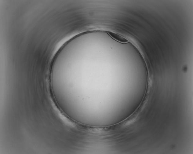 X0000116511149200912231228