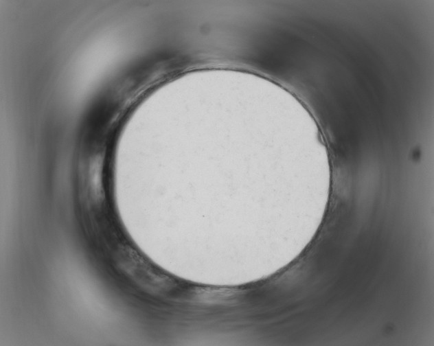 X0000116511150200912231228