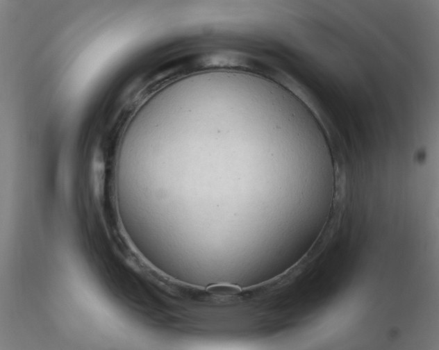 X0000116511151200912231228