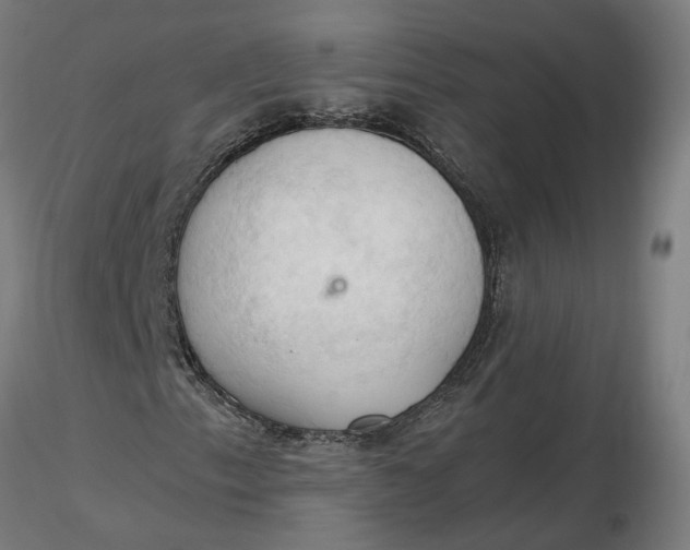 X0000116511153200912231227