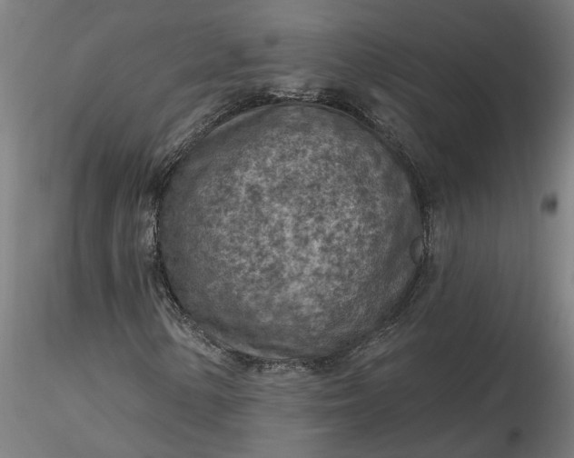 X0000116511154200912231227