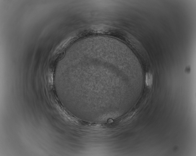 X0000116511155200912231227