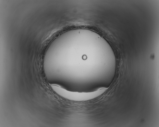 X0000116511157200912231227