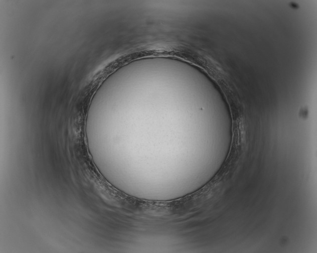 X0000116511158200912231227