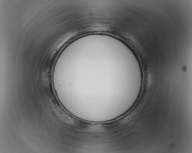 X0000116511162200912231227