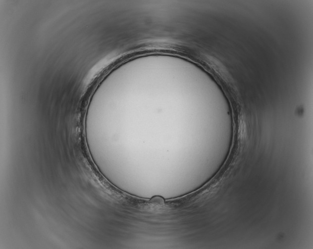 X0000116511164200912231227