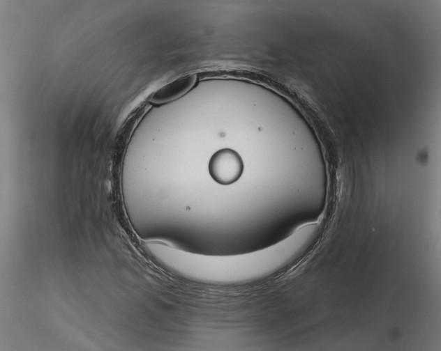 X0000116511165200912231227