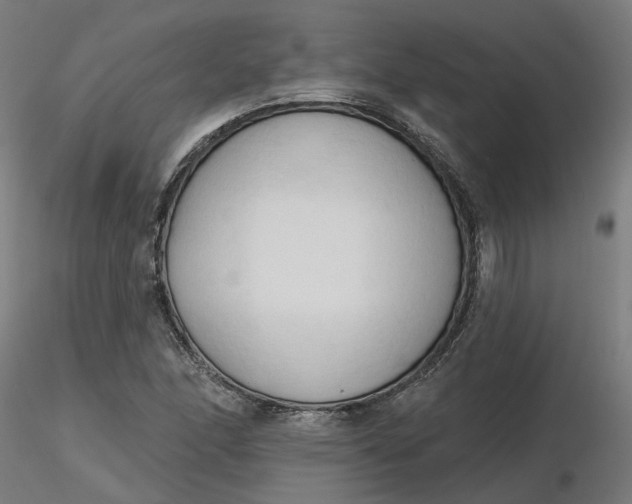 X0000116511166200912231227