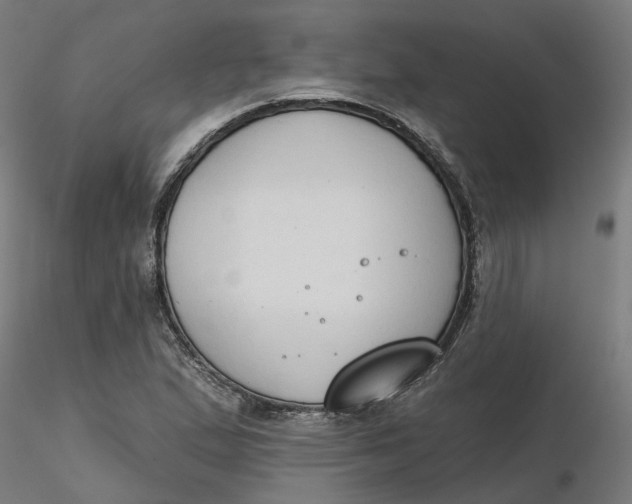 X0000116511167200912231227