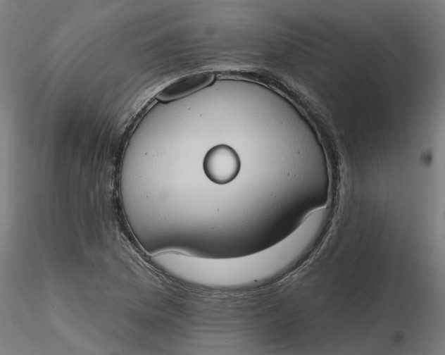 X0000116511169200912231227