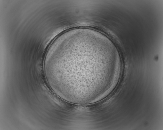 X0000116511170200912231227