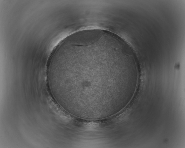 X0000116511173200912231227