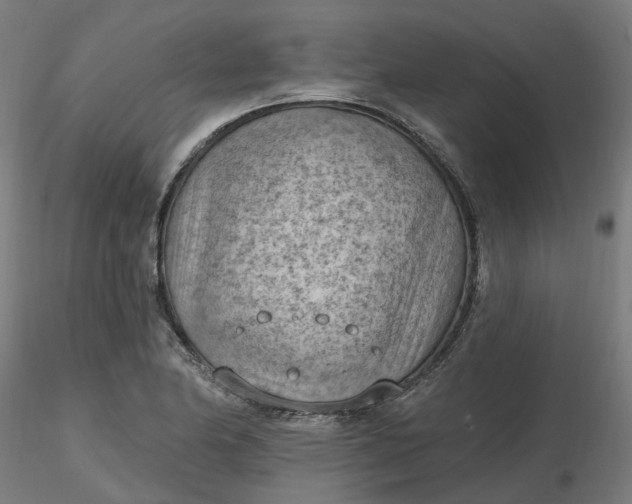 X0000116511174200912231227