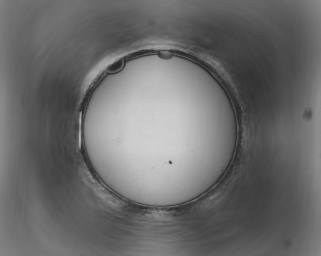 X0000116511175200912231227