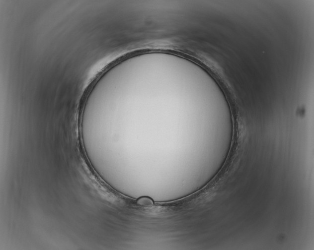 X0000116511176200912231227