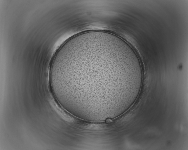 X0000116511179200912231227