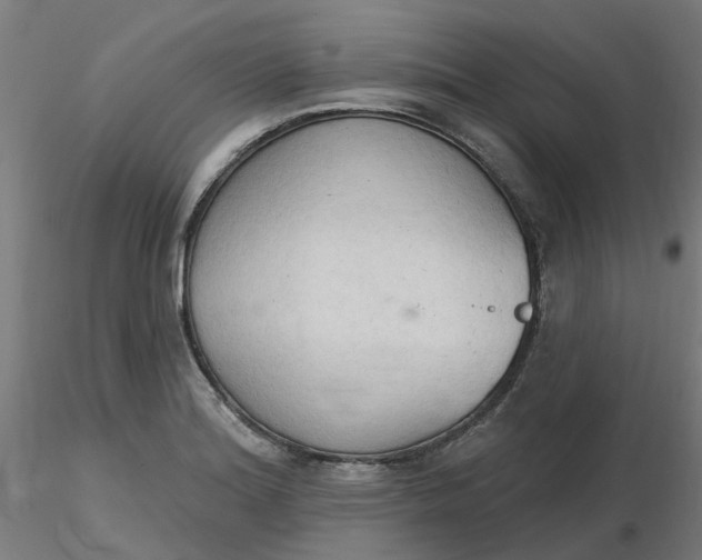 X0000116511180200912231227