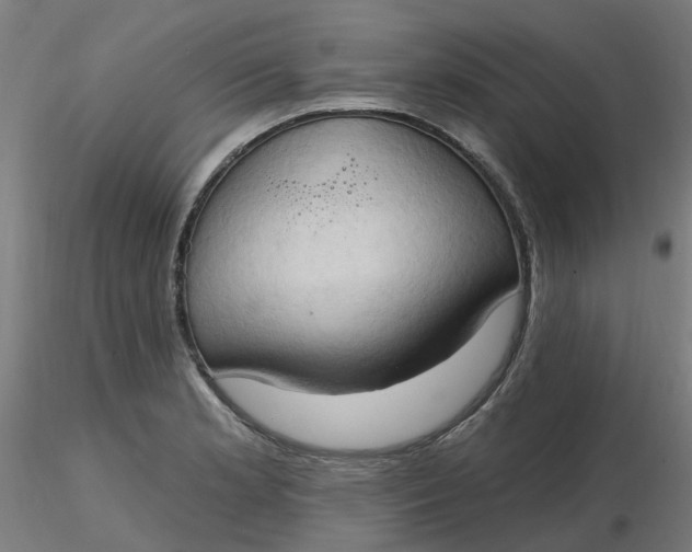 X0000116511181200912231227