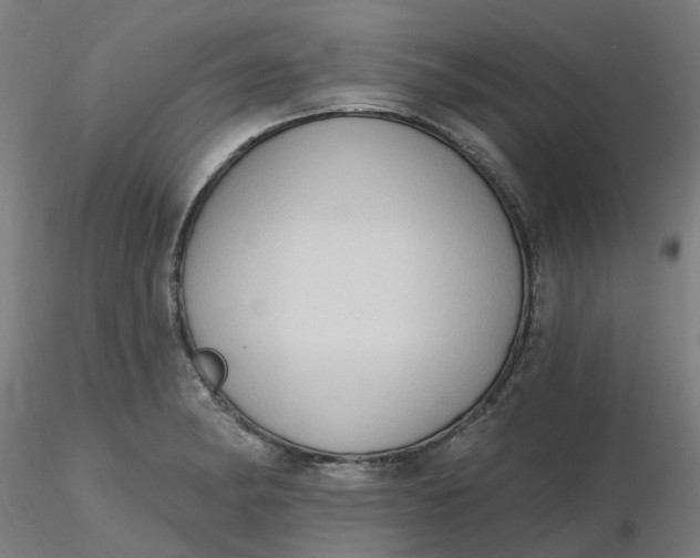 X0000116511182200912231227