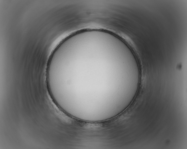 X0000116511183200912231227