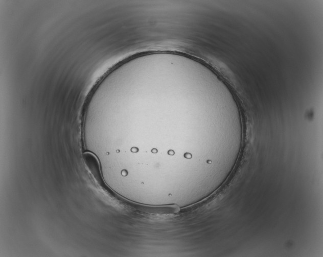 X0000116511184200912231227