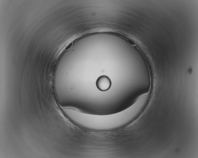 X0000116511185200912231227