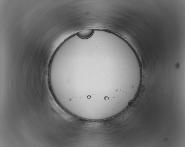 X0000116511187200912231227