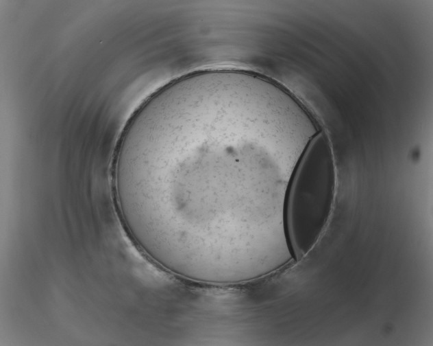 X0000116511189200912231227