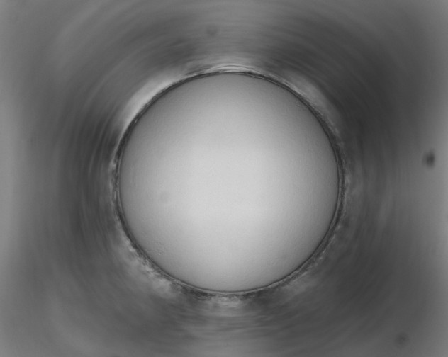 X0000116511190200912231227