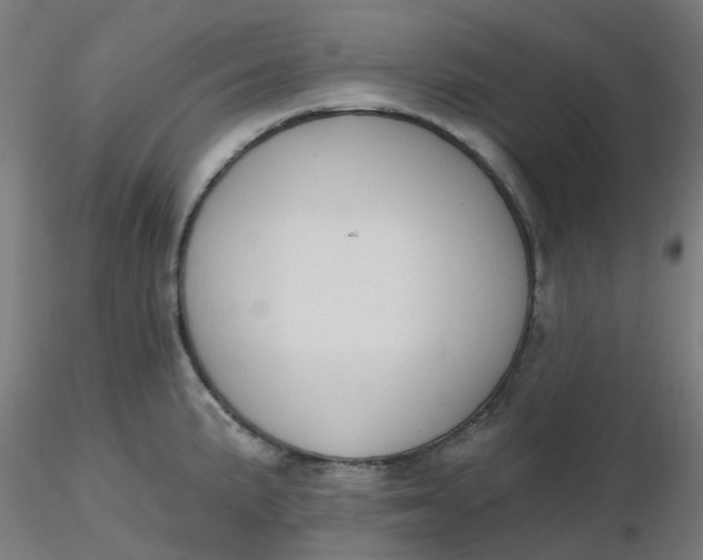 X0000116511191200912231227