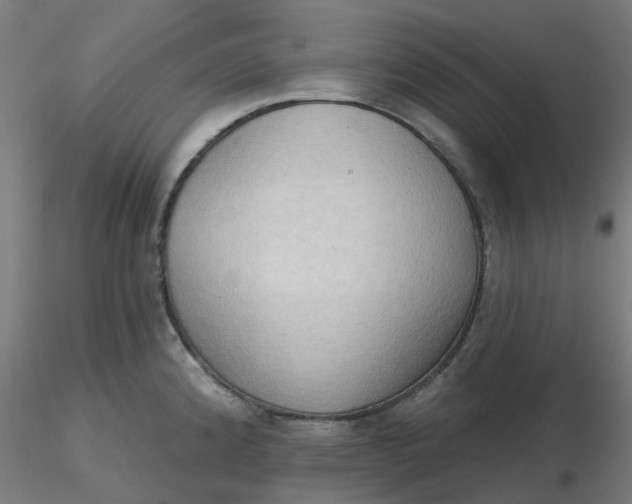 X0000116511192200912231227