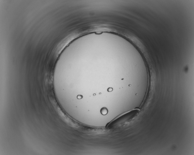 X0000116511193200912231227