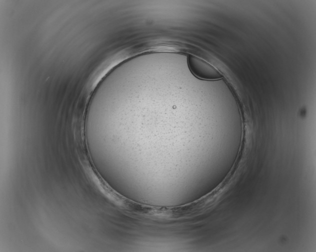 X0000116511194200912231227