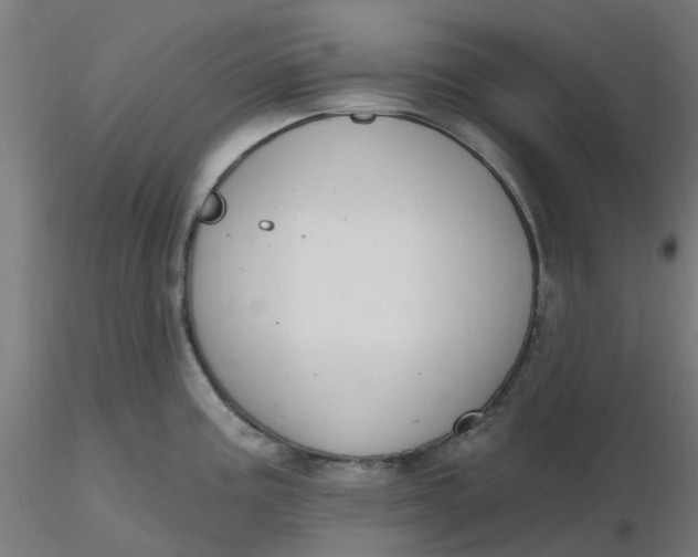 X0000116511195200912231227