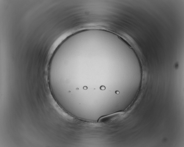 X0000116511196200912231227