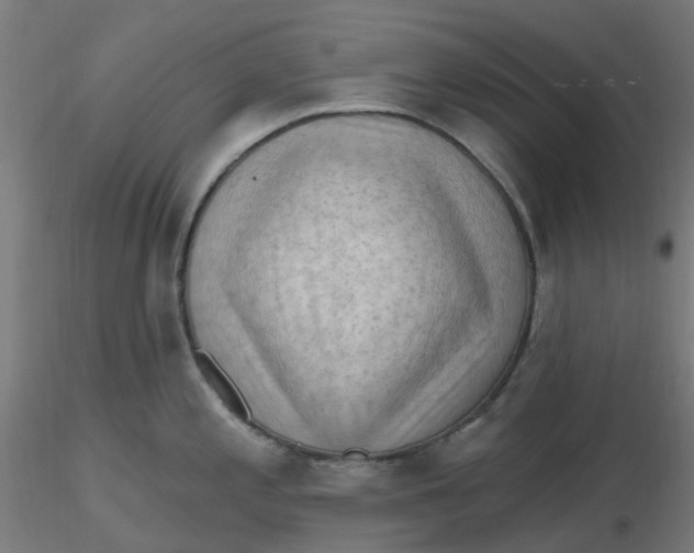 X0000116511197200912231227