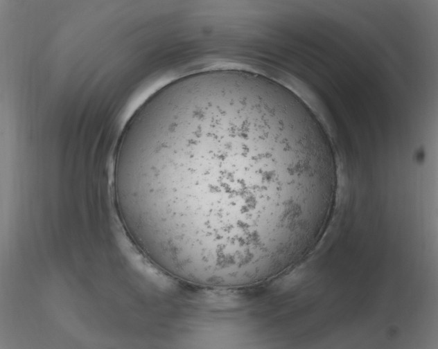 X0000116511198200912231227