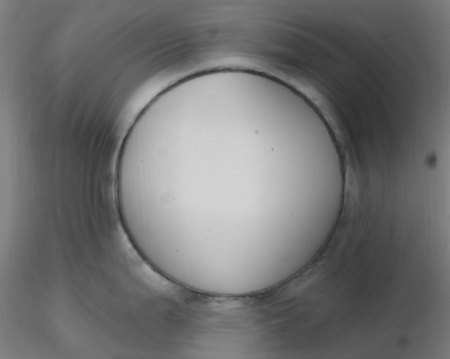 X0000116511199200912231227