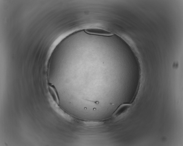 X0000116511200200912231227