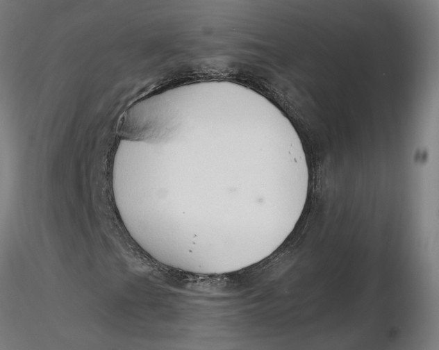 X0000116511201200912231226