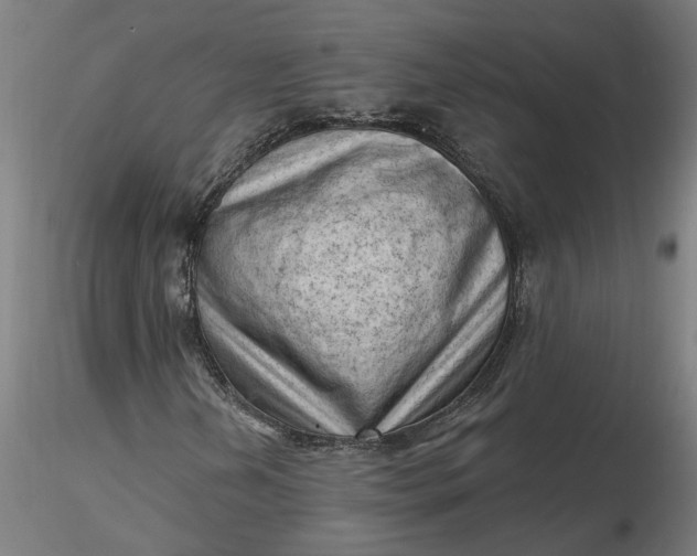 X0000116511202200912231226