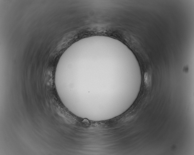 X0000116511203200912231226