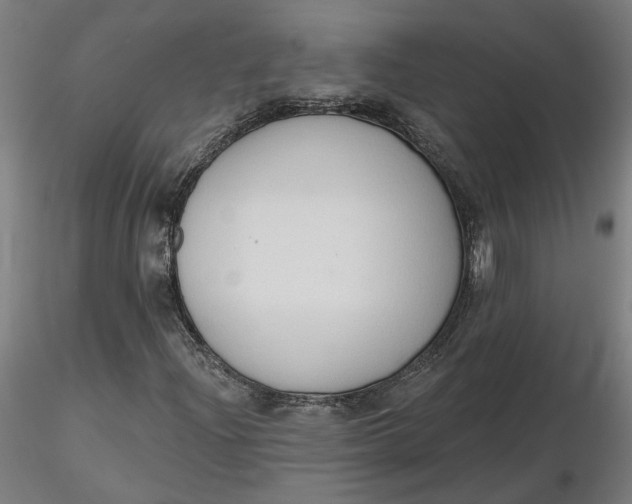 X0000116511204200912231226