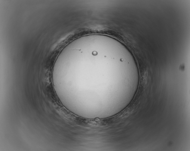 X0000116511205200912231226