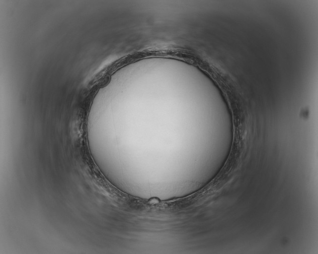 X0000116511206200912231226