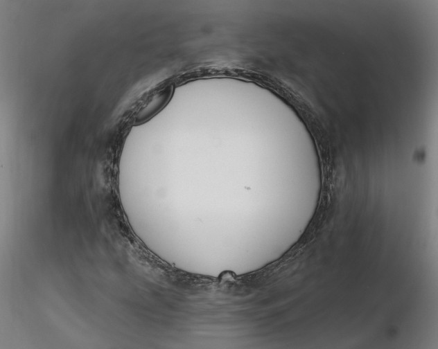 X0000116511207200912231226