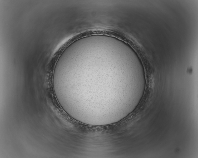 X0000116511208200912231226